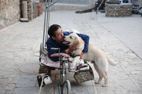 国产人与狗,探寻人类与动物和谐共生的奥秘